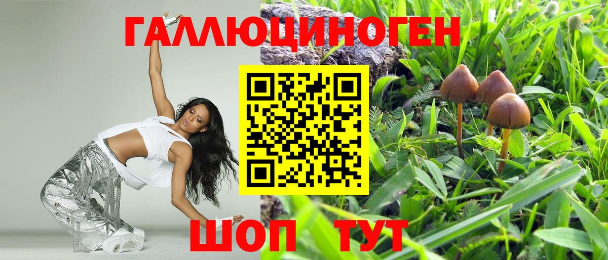 Сосновоборск  Псилоцибиновые грибы MAGIC MUSHROOMS  Псилоцибиновые грибы MAGIC MUSHROOMS  Вход с VPN 